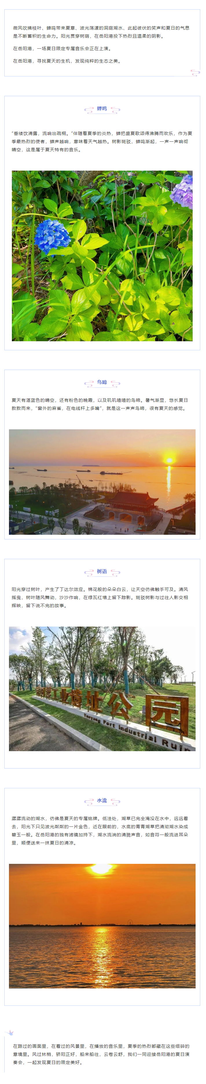 【夏日演奏會】在岳陽港，聆聽夏天的聲音.png